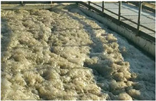 去除污水處理中的泡沫，可以選擇物理消泡器