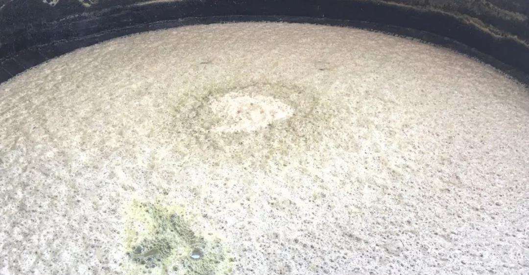 機(jī)械消泡器的優(yōu)缺點深度解讀，這幾點你不得不知道